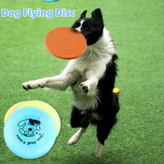 Silicone Flying Saucer