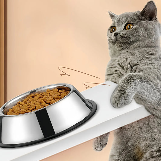 Stainless Steel Pet Bowls for Dogs & Cats - Durable, Easy-to-Clean Feeding & Water Dish